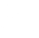 The Bitcoin Movement