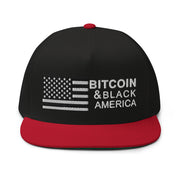 Bitcoin & Black America